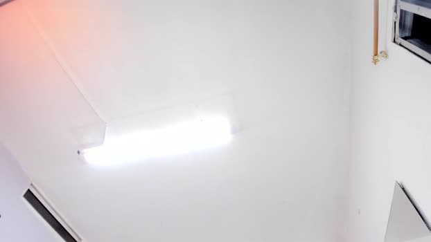 kaleb_violeta 29-10-2025 kink Couple