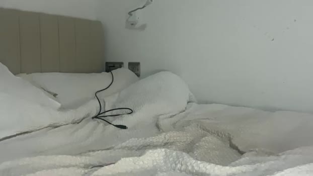 taliavaine 28-11-2025 Porn Female