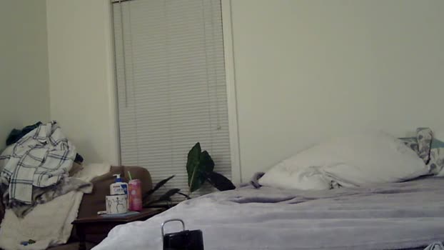 trickquestion 17-12-2025 Video Couple