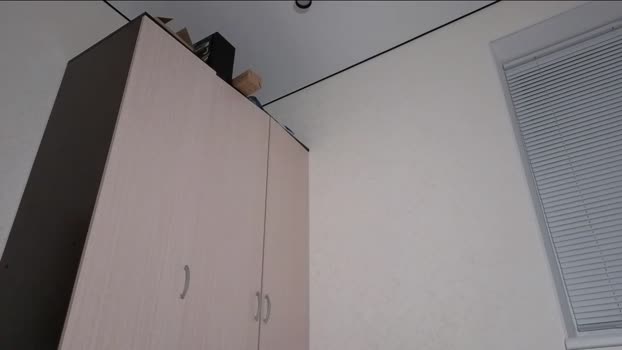 hoaarisa 19-12-2025 Porn Female