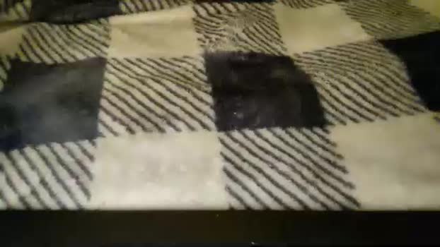 kabookie333 29-12-2025 pussy Female