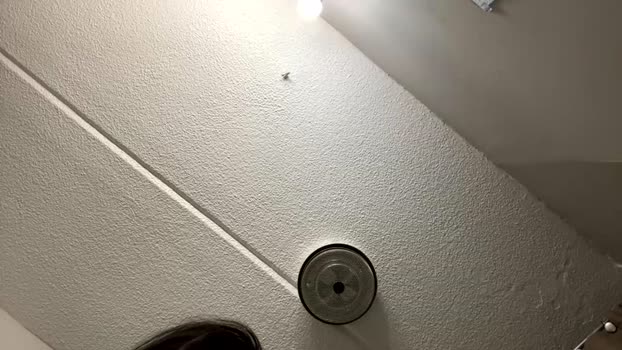 notsoguiltypleasure 01-01-2026 orgasm Couple