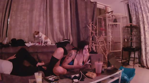 eldad3371 01-01-2026 Porn Couple