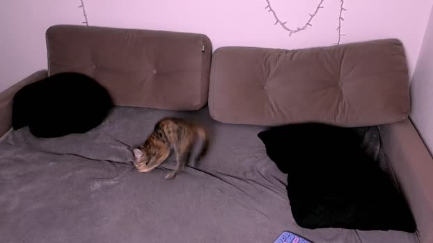 ladytrep 09-01-2026 fuckme Couple