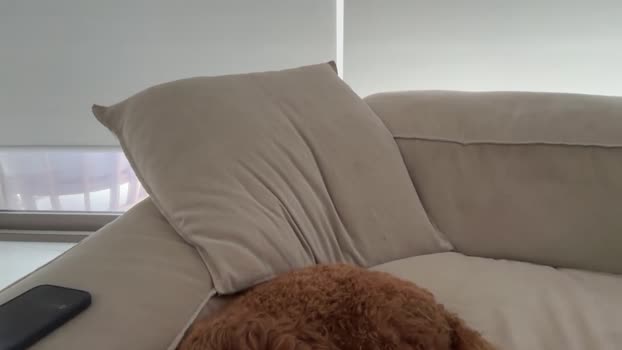 oliviabrookess 11-01-2026 fuckher Female