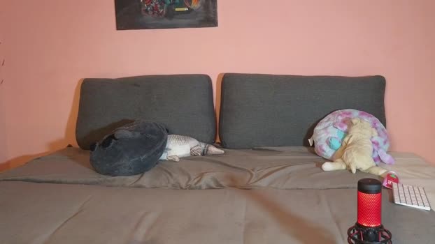 katusha008 14-01-2026 ass Couple