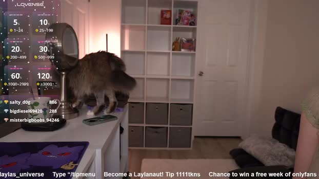 laylas_universe 16-01-2026 big Female