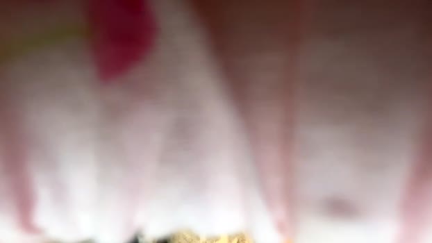 essence90210 17-02-2026 horny Female