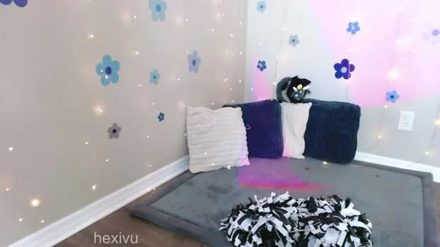 hexivu 29-04-2026 Live Webcam bigtoys big