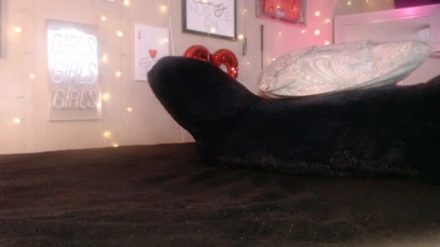milf_lacey 01-05-2026 Live Webcam naughty skinny