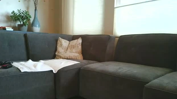 jasonsweets 02-05-2026 Live Webcam Video moan