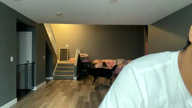 jasonsweets 04-05-2026 Live Webcam Nude Download