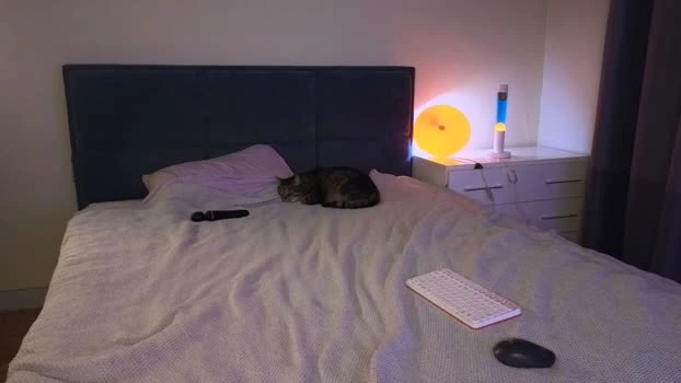 sunlovedamily 07-05-2026 Live Webcam beautiful suckcock