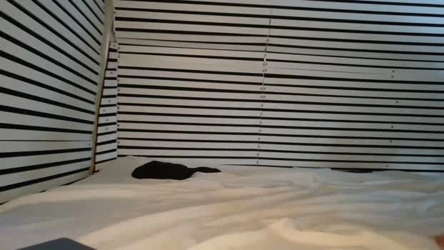hola_homo 08-05-2026 Live Webcam naked dirty