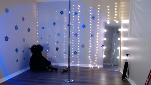 hexivu 17-05-2026 Live Webcam sex oral