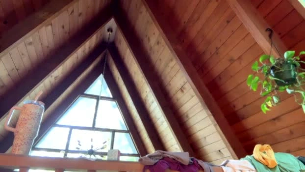 emersoncane 18-05-2026 Live Webcam gag big