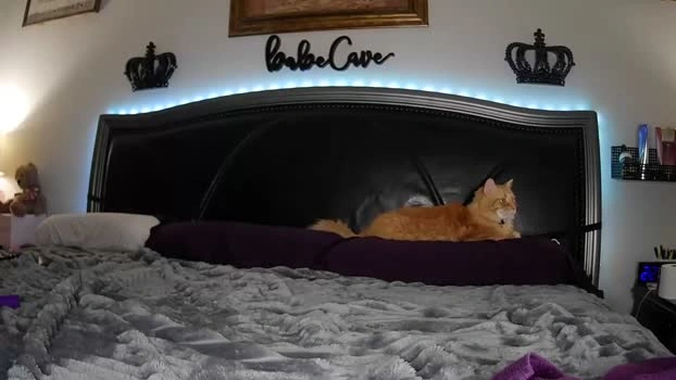 bdon1977 22-05-2026 Live Webcam beauty blowjob