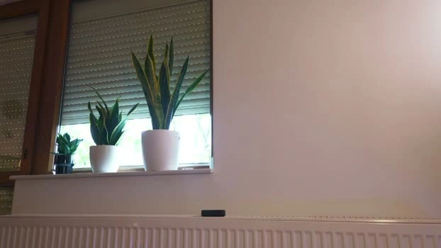 fazeyj 05-06-2026 Live Webcam ass XXX
