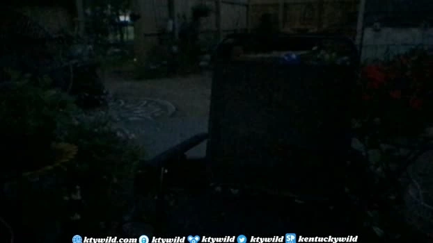 funcamkw 05-06-2026 Live Webcam kiss sucktits