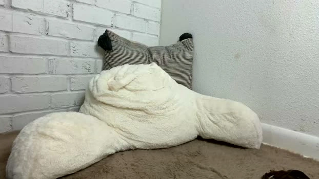 seeusinurdreams 30-06-2026 Live Webcam sexyfeet Download