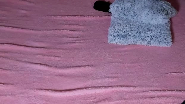 glitchdoll 02-07-2026 Live Webcam tits squirt