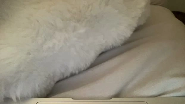 roxyrhode 15-07-2026 Live Webcam big naughty