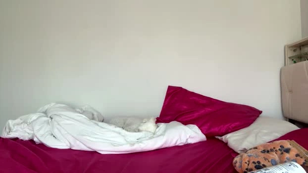 luluxoxo3 15-07-2026 Live Webcam big tits