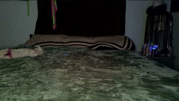 the_steele_zone 18-07-2026 Live Webcam nude natural