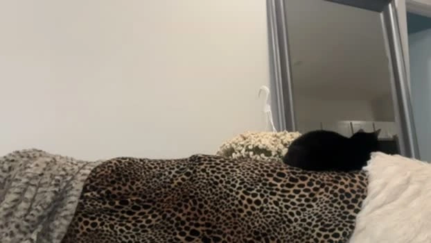 caseyyyhere 23-07-2026 Live Webcam sucktits Webcam