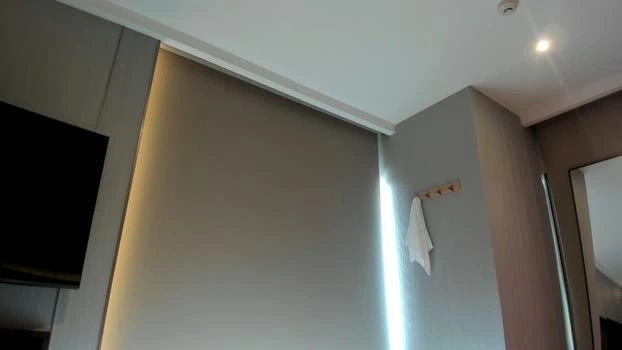 avabrooks 27-07-2026 Live Webcam yummy bj-dildo